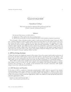 Glycolysis - OpenStax CNX