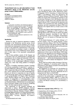 Nomenclatural notes on and redescriptions of some little