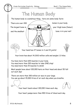 introduction - Bildungsverlag Lemberger