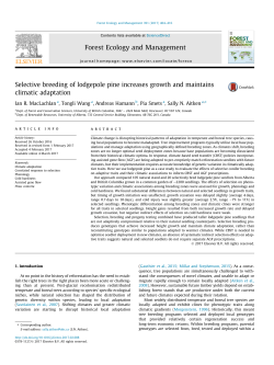 Selective breeding of lodgepole pine increases growth and