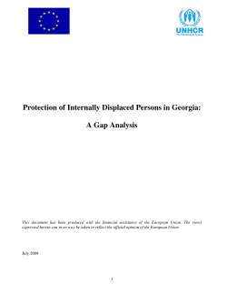 Protection of Internally Displaced Persons in Georgia: A