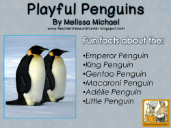 Playful Penguins PDF