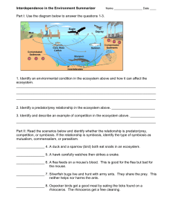 Interdependence of Organisms Summarizer