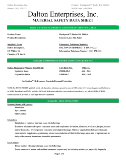 Dalton Enterprises, Inc.