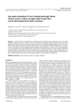 Age under-estimation in New Zealand porbeagle sharks