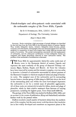Potash-trachytes and ultra-potassic rocks associated with the
