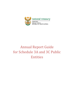 Annual Report Guide for Schedule 3A and 3C Public Entities