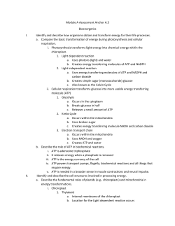 Module A Assessment Anchor A