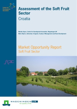 Assessment of the Soft Fruit Sector - Croatia