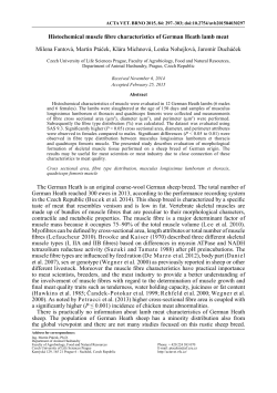 Histochemical muscle fibre characteristics of German Heath lamb