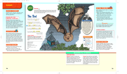 poems&mdash;may choose words for the way they sound. You