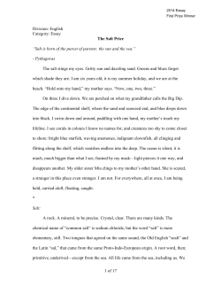 1 of 17 Division: English Category: Essay The Salt