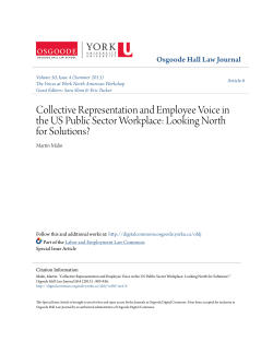 Collective Representation and Employee Voice in the US Public