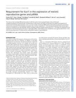 Requirement for Sun1 in the expression of meiotic reproductive