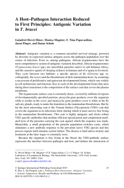 A Host&ndash;Pathogen Interaction Reduced to First Principles: Antigenic