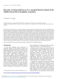 Diversity of chironomid larvae in a marginal fluvial wetland of the