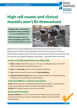 Mastitis control in wet conditions