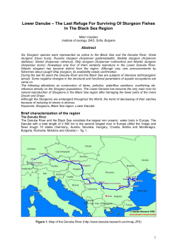 Lower Danube &ndash; The Last Refuge For Surviving Of