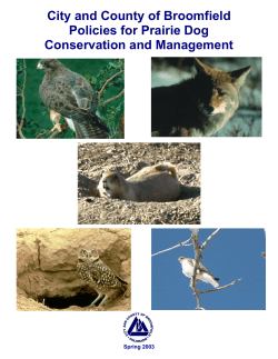 Prairie Dog Management / Conservation Policy