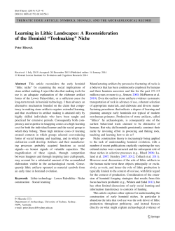Learning in Lithic Landscapes: A Reconsideration of the Hominid