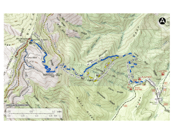 Mt. Mitchell - Hiking Upward