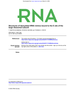 large ribosomal subunit Structures of deacylated tRNA mimics