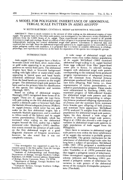 A MODEL FOR POLYGENIC INHERITANCE OF ABDOMINAL