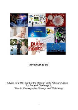 Annex to the Advisory Group report
