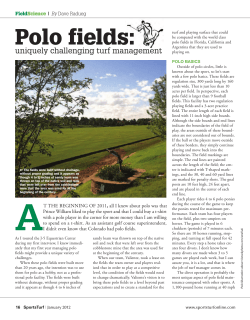 Polo fields - About SportsTurf