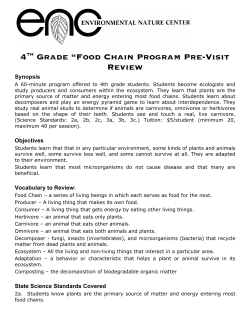 Gr. 4 Food Chain Fun Study Guide