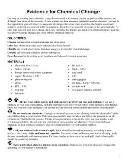 LAB: Evidence for Chemical Change
