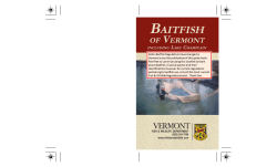 Baitfish Guide - pagemaker - Vermont Fish and Wildlife