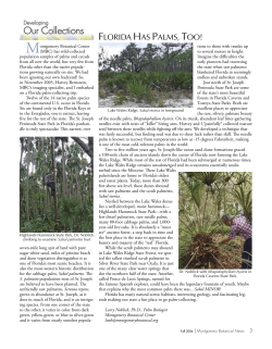 florida has palms, too! - Montgomery Botanical Center