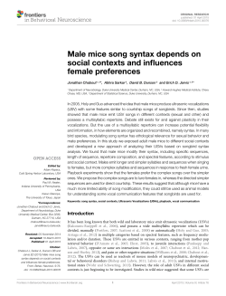 Male mice song syntax depends on social contexts