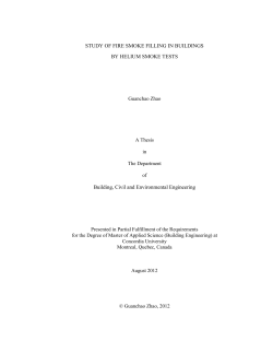 as a PDF