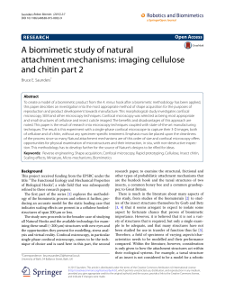 A biomimetic study of natural attachment mechanisms: imaging