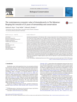 The contemporary economic value of elasmobranchs in The Bahamas