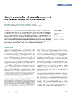 One-step purification of assembly-competent tubulin