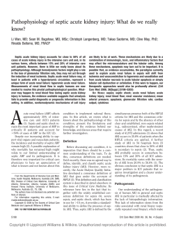 Pathophysiology of septic acute kidney injury: What do we really