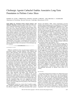 Cholinergic Agonist Carbachol Enables