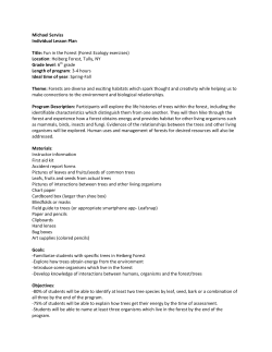 Fun in the Forest Lesson Plan