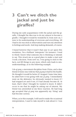 3 Can`t we ditch the jackal and just be giraffes?