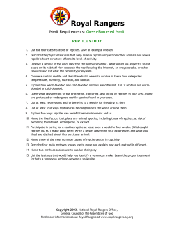 Royal Rangers - AG Web Services