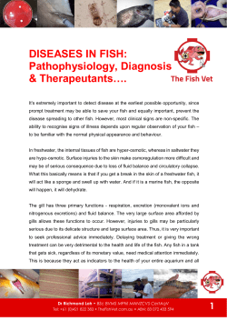 DISEASES IN FISH: Pathophysiology, Diagnosis