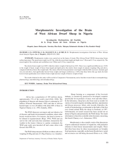 Morphometric Investigation of the Brain of West African Dwarf Sheep