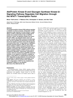 Akt/Protein Kinase B and Glycogen Synthase Kinase