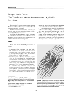 Dangers in the Ocean: The Traveler and Marine Envenomation. I