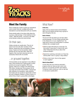 On their own or grouped together.