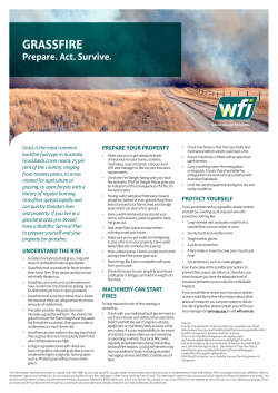 grassfire - wfi.com.au