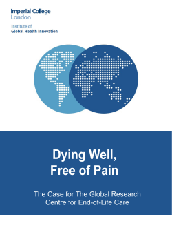 Dying Well, Free of Pain - Workspace